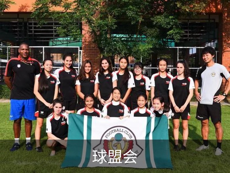 关于球盟会