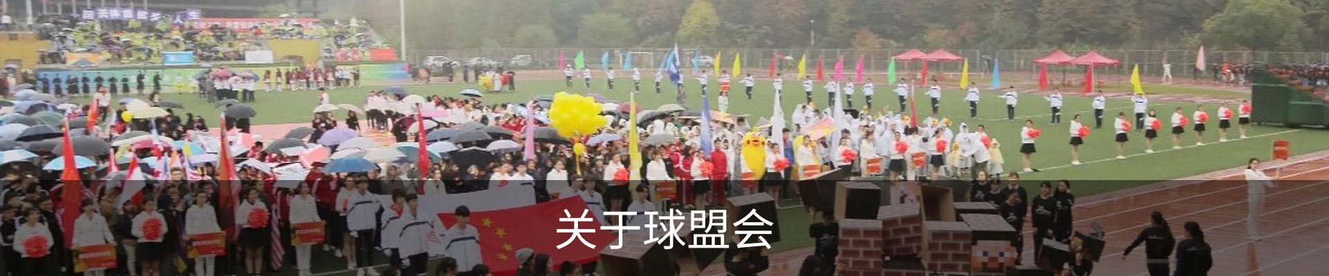 关于球盟会